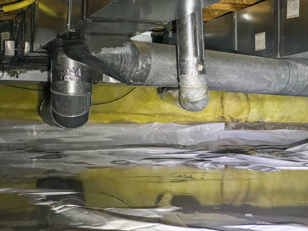  Kingstree, SC Water damage restoration Pros
