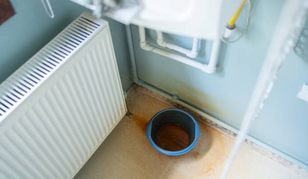 Best Water damage contractors near me  in Kingstree, SC