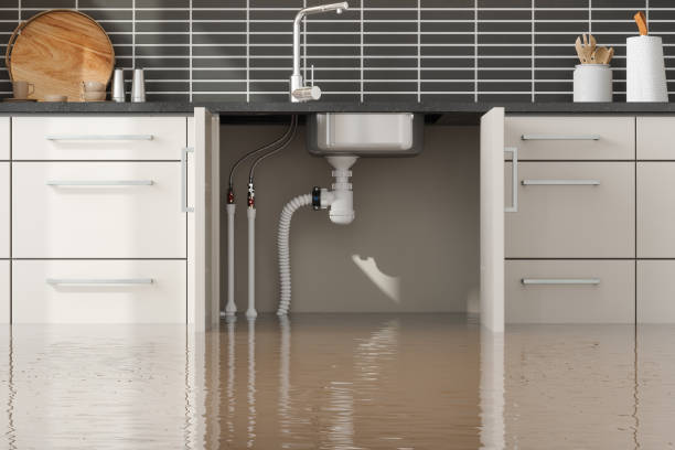 Best 24-hour water damage restoration  in Kingstree, SC