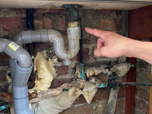Trusted Kingstree, SC Water damage restoration Experts